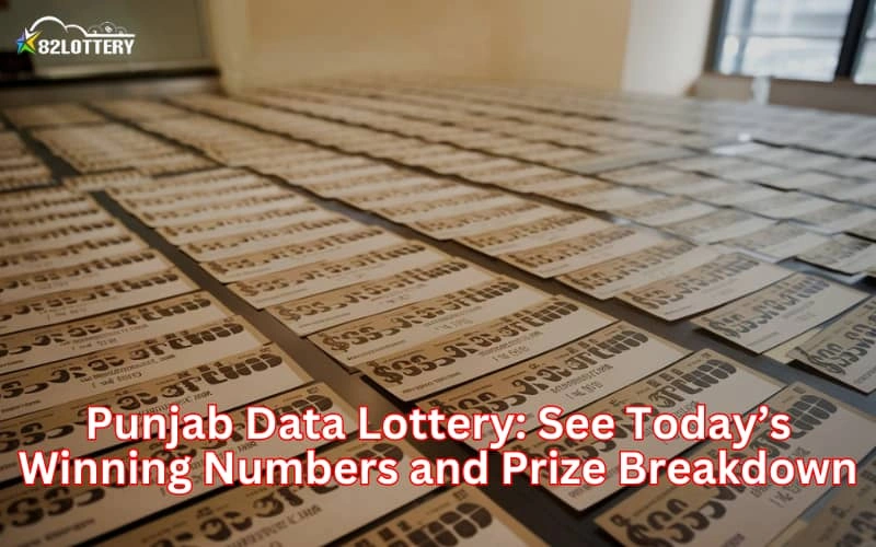 panjab data lottery india